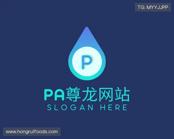 解读PA尊龙